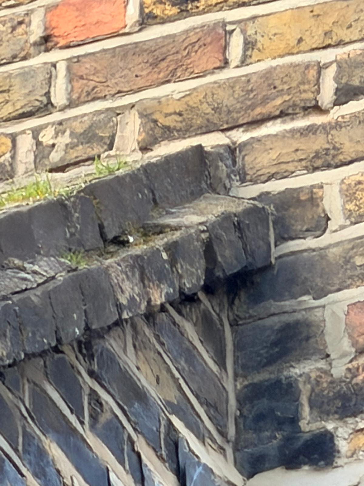 Damp Proofing project completed by Medway Trade Group
